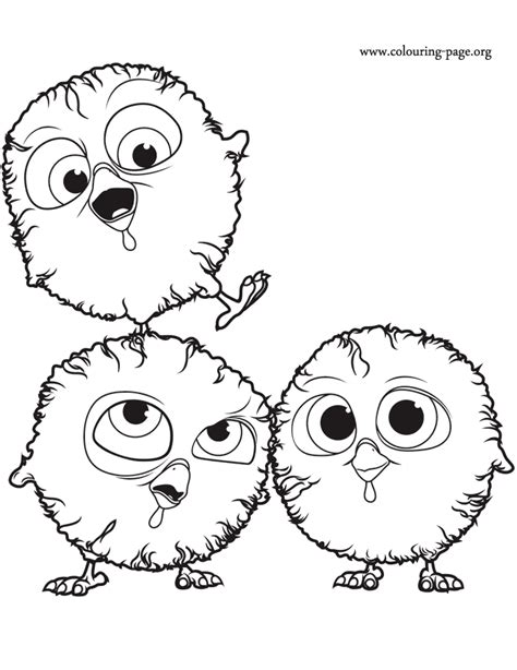 birds  chicks coloring page