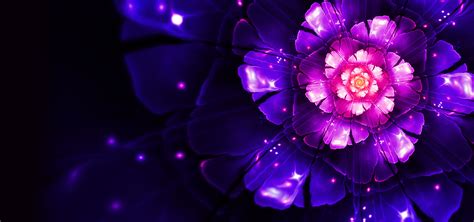 cool flower background image flower bright cool background image
