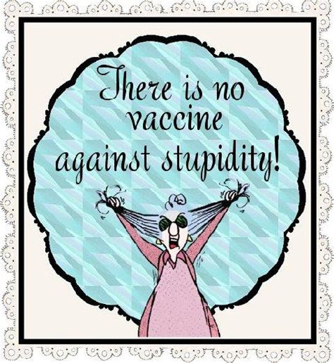 Maxine There Is No Vaccine Against Stupidity 33 E