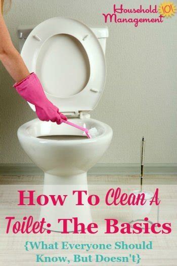 clean  toilet  basics