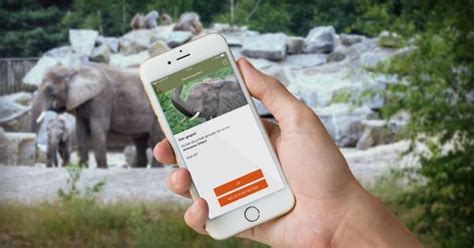 nieuwe app beekse bergen vertelt welke dieren je ziet op safari oozonl