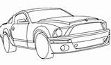 Shelby sketch template