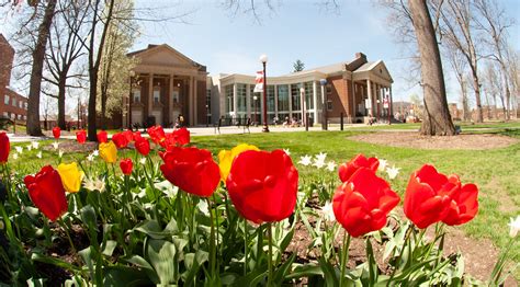 spring  preview iup  iup
