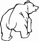 Bear Grizzly Coloring Pages Outline Bears Clipart Angry Cubs Printable Clipartbest Looks Supercoloring Color Drawings Cliparts Categories sketch template