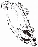 Badger Coloring Pages Sheet Honey Mitten Janbrett Animal Badgers Click Jan Subscription Downloads Mural sketch template