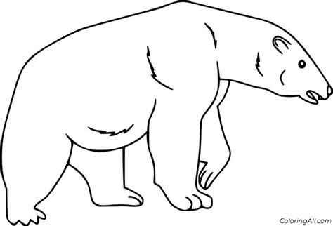 printable polar bear coloring pages  vector format easy