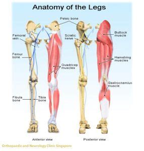 leg pain solution trustworthy leg pain clinic