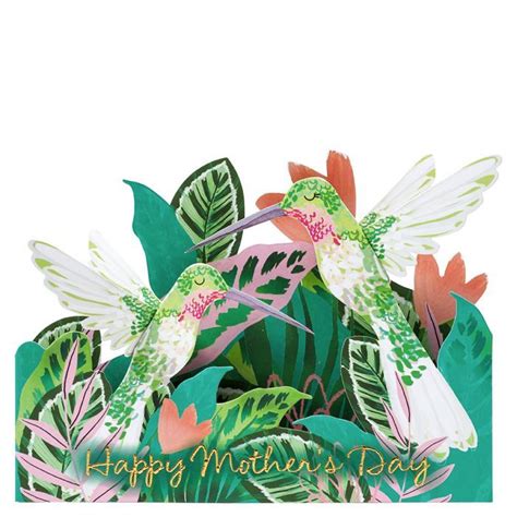 pop  hummingbird mothers day card paperchase   happy mother  day mothers day
