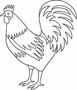 Rooster Coloring Clip Line Sweetclipart sketch template