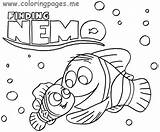 Nemo Finding Coloring Pages Turtle Fish Printable Sheets Bruce Color Pdf Getcolorings Marlin Printables Colorin Popular Willpower sketch template
