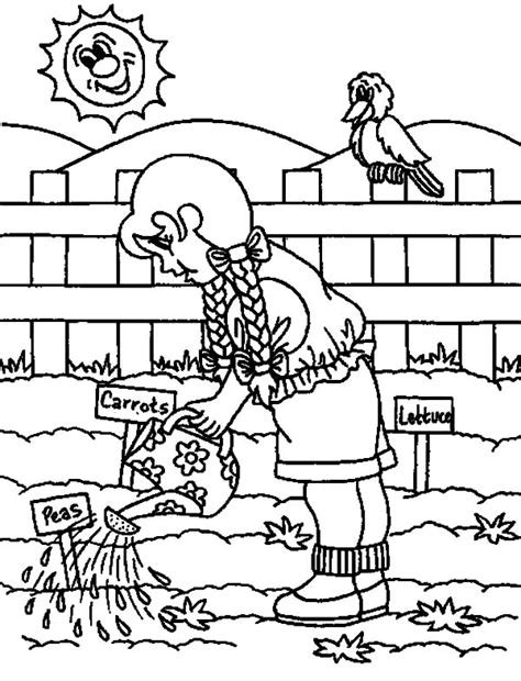 vegetable coloring pages  coloring pages  kids vegetable