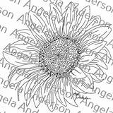 Traceables Traceable Sunflower Anderson Patreon sketch template