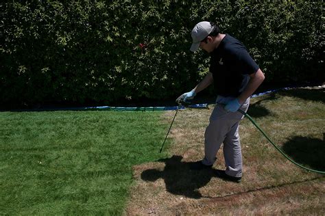 California Drought Residents Paint Their Lawns Green