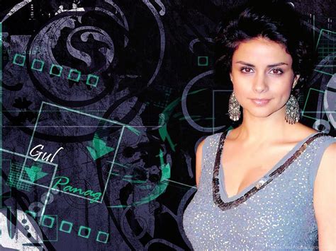 Gul Panag Hd Wallpapers Desktop Background