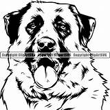 Anatolian Dog Shepherd Svg Clipart Head sketch template