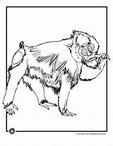 Coloring Pages Baboon Animals Octopus Springbok sketch template