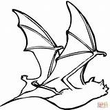 Bat Coloring Pages Drawing Printable sketch template