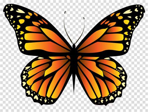 butterfly wing clipart   cliparts  images  clipground