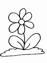 Flowers Coloring Pages Cartoon Printable Advertisement sketch template