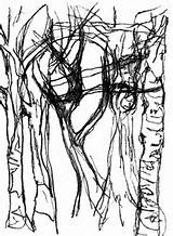 Bark Tree Drawing Getdrawings Texture sketch template