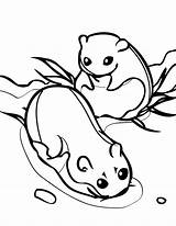 Arctic Lemming Kidsplaycolor sketch template