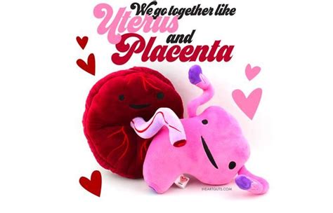 uterus plush womb service plush organ stuffed toy pillow back