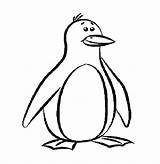 Penguin Coloring Pages Penguins Outline Printable Template Drawing Pittsburgh Cartoon Print Clipart Templates Colouring Animal Funny Kids Color Worksheets Drawings sketch template
