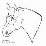 Horse Stallion Quarter Coloring Headstudy Pages Index Own Color sketch template