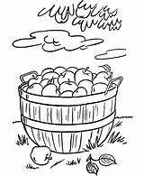 Apple Basket Coloring Put Pages sketch template