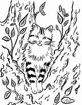 Cat Coloring Tree Pages Color Print Getdrawings Printable Getcolorings Samanthasbell sketch template