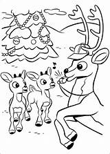 Coloring Reindeer Rudolph Red Pages Nose Nosed Choose Board Printable Christmas sketch template