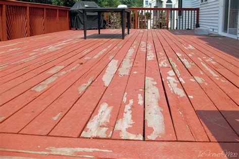 staining   deck  solid stain decks ideas