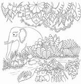 Ausmalbilder Dschungeltiere Malvorlagen Korat sketch template