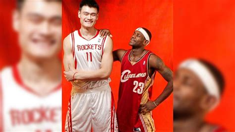 top  pictures  put yao mings height  perspective