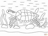 Turtle Reptiles sketch template