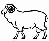 Domba Mewarnai Untuk Sketsa Paud Marimewarnai Terbaru Terpopuler sketch template