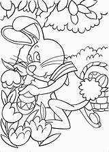 Coloring Cottontail Peter Pages Easter Bunny Book Info Popular Gif Coloriage Kids Coloringhome sketch template