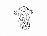 Jellyfish Coloring Pages Clip Library sketch template