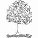 Baum Ausmalen Erwachsene Zentangle Kahler sketch template