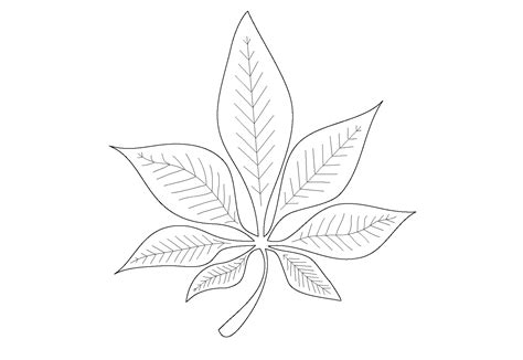 preschool leaf pages coloring pages
