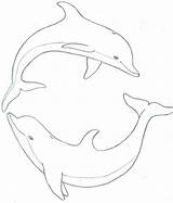Dolphin Coloring Dauphin Dolphins Delphine Delfin Dolfijn Jumping Step Malvorlagen Kleurplaat Zeichnung Arouisse Siterubix Muscheln Wandbemalung Acrylbilder Erstellen Nachzeichnen Outlined sketch template