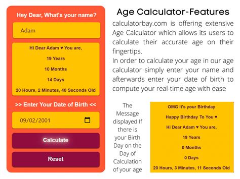 age calculator calculator bay