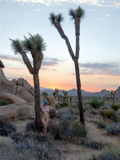 exposed for the shadows archive nevaeh lleh at joshua tree