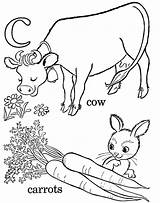 Coloring Pages Cow Alphabet Popular sketch template