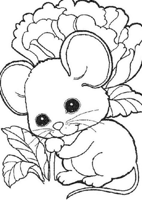 easy  print baby animal coloring pages   animal