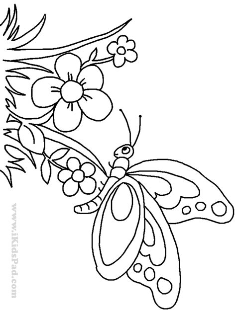 cute butterfly coloring pages butterfly coloring page butterfly