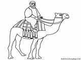 Desert Camel Unta Camels Dromadaire Mewarnai Kamel Pasir Coloriage Animaux Class Diwarnai Menunggang Caravan Realisticcoloringpages sketch template