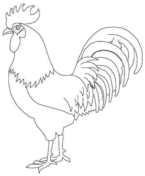 images   printable rooster coloring pages printable