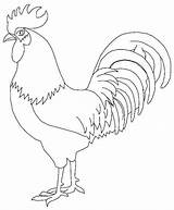 Rooster Printable Drawing Coloring Print Pages Drawings Kids Painting Animal Sheets Fight Roosters Chicken Colouring Patterns Book Line Draw Cute sketch template