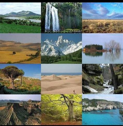 regiones naturales página web de recursos naturales318 ecosistemas